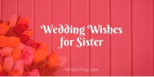 120+ Wedding Wishes for Sister Capturing Your Unique Bond