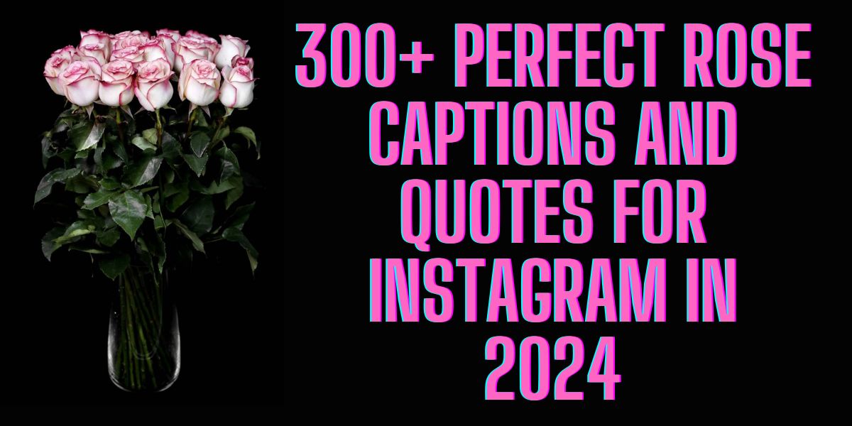 300+ Perfect Rose Captions and Quotes for Instagram in 2024