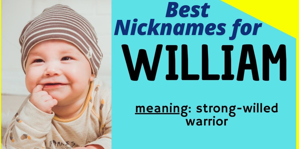 210+ Best Nicknames for William Make Your William Stand Out!