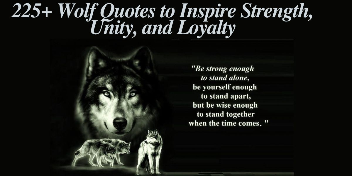 225+ Wolf Quotes to Inspire Strength, Unity, and Loyalty