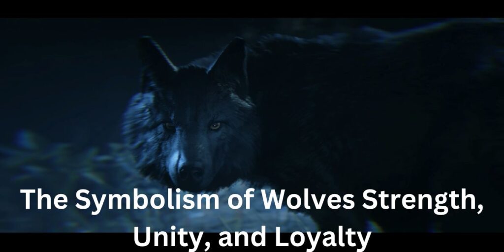 The Symbolism of Wolves Strength, Unity, and Loyalty