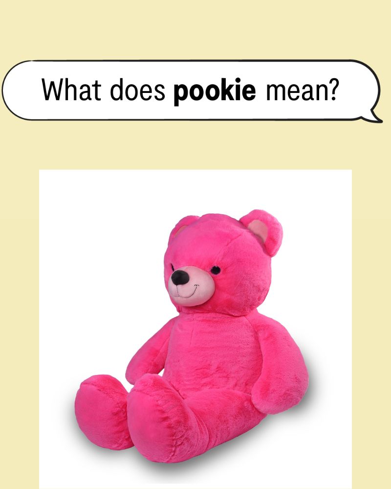 Pookie Mean in 2025